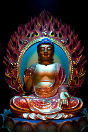 Arrayのeditorial素材