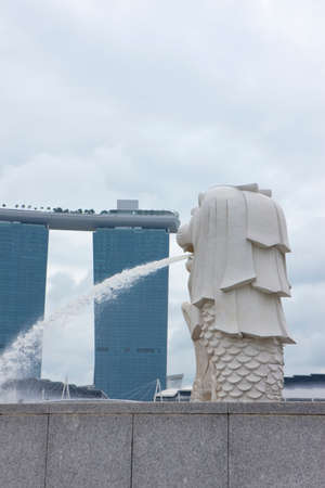 Arrayのeditorial素材