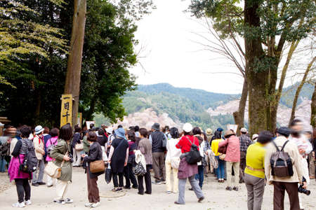 Arrayのeditorial素材