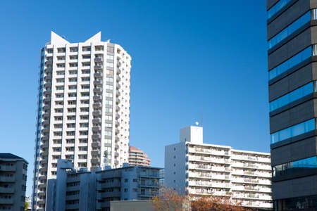 Arrayのeditorial素材