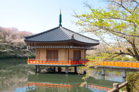 Arrayのeditorial素材