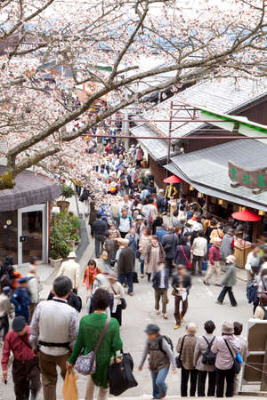 Arrayのeditorial素材