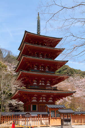 Arrayのeditorial素材