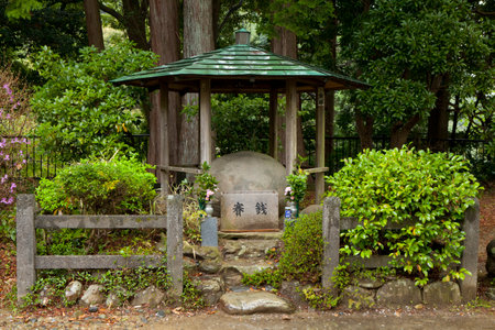 Arrayのeditorial素材