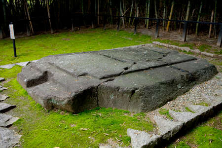 Arrayのeditorial素材