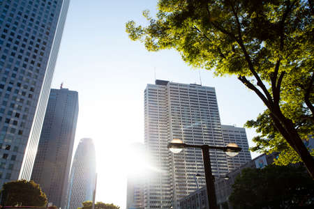 Arrayのeditorial素材