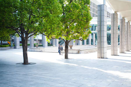 Arrayのeditorial素材