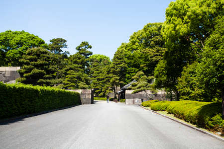 Arrayのeditorial素材