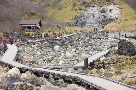 Arrayのeditorial素材