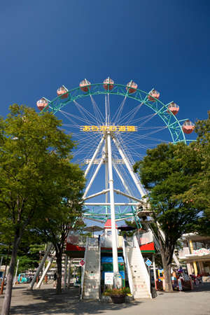 Arrayのeditorial素材