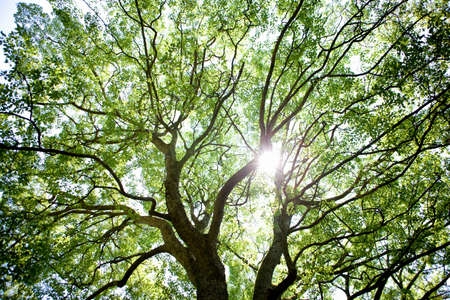 Arrayのeditorial素材