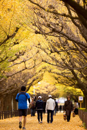 Arrayのeditorial素材