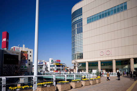 Arrayのeditorial素材