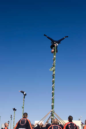 Arrayのeditorial素材