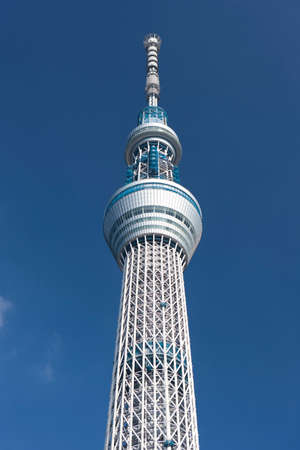 Arrayのeditorial素材