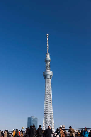 Arrayのeditorial素材