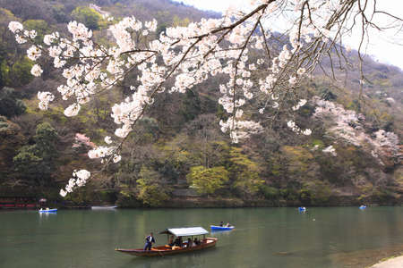 Arrayのeditorial素材