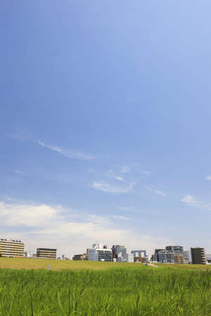 Arrayのeditorial素材