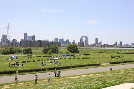 Arrayのeditorial素材