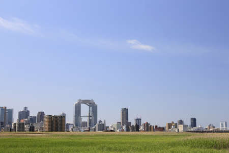 Arrayのeditorial素材