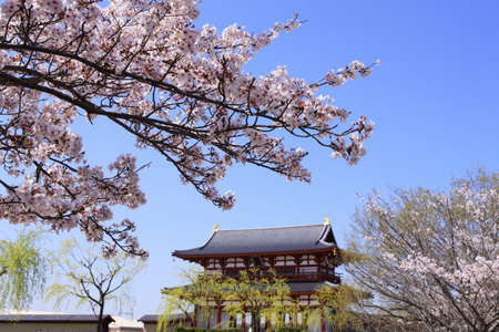 Arrayのeditorial素材