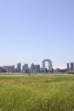 Arrayのeditorial素材