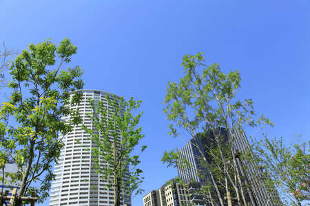 Arrayのeditorial素材