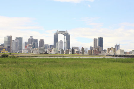 Arrayのeditorial素材