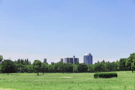 Arrayのeditorial素材