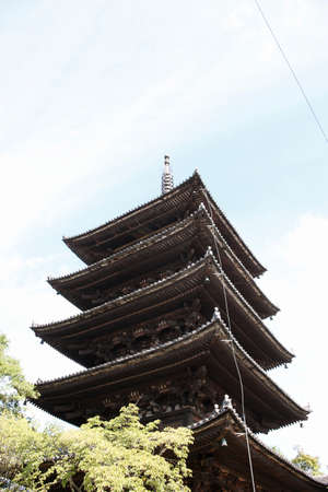 Arrayのeditorial素材