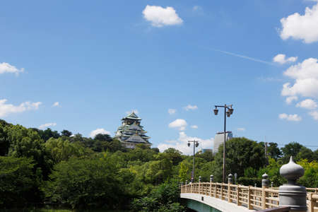 Arrayのeditorial素材