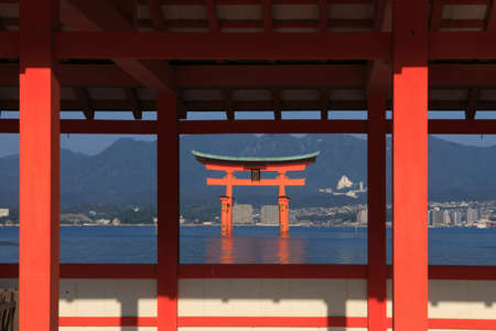 Arrayのeditorial素材