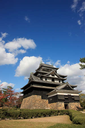 Arrayのeditorial素材