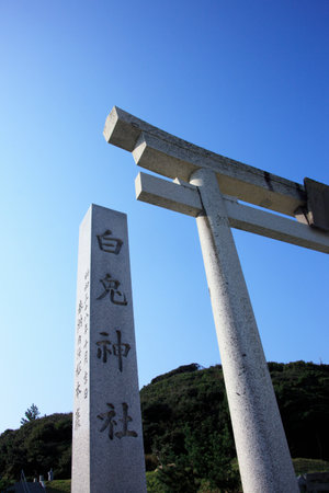 Arrayのeditorial素材