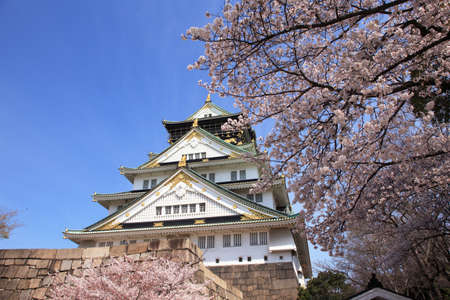 Arrayのeditorial素材