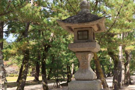 Arrayのeditorial素材