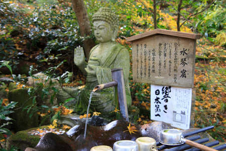 Arrayのeditorial素材