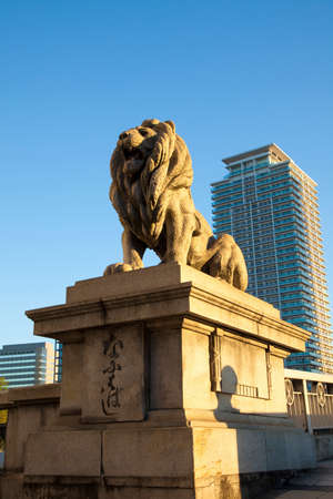 Arrayのeditorial素材