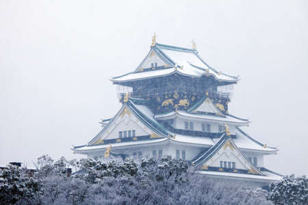 Arrayのeditorial素材