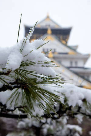 Arrayのeditorial素材