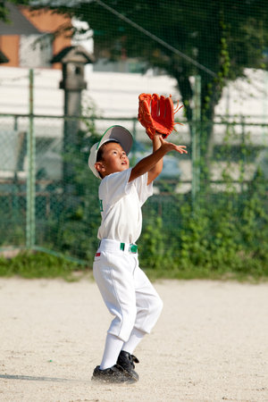 Arrayのeditorial素材