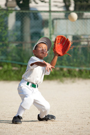 Arrayのeditorial素材