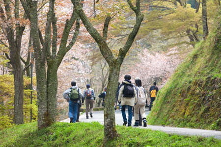 Arrayのeditorial素材