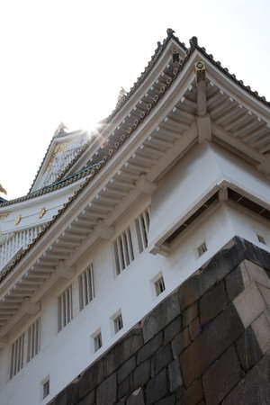 Arrayのeditorial素材