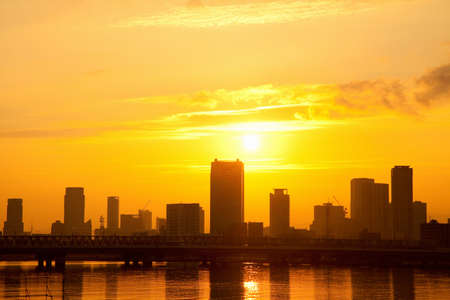 Arrayのeditorial素材