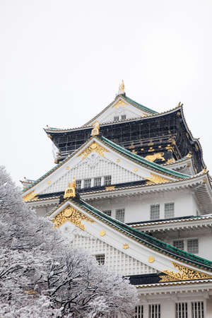 Arrayのeditorial素材