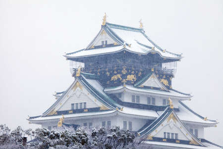 Arrayのeditorial素材