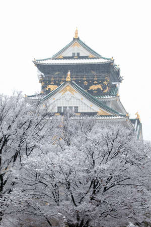 Arrayのeditorial素材