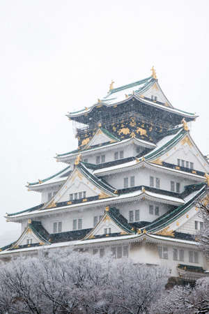 Arrayのeditorial素材