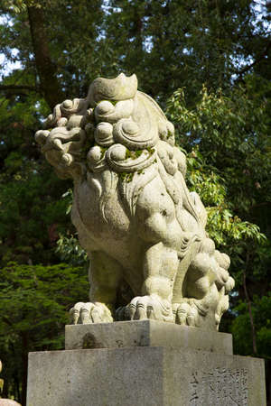 Arrayのeditorial素材